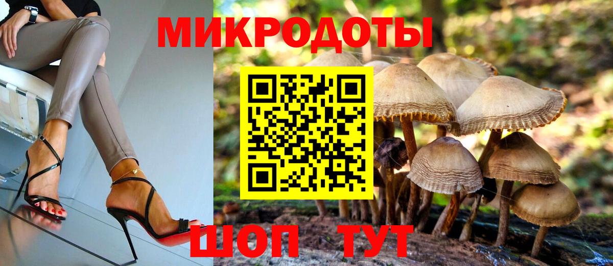 Чита  Галлюциногенные грибы мицелий  Вход с VPN 
