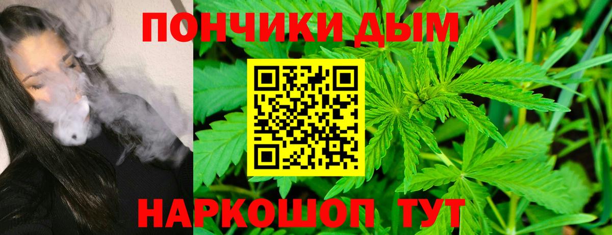 Конопля конопля Чита